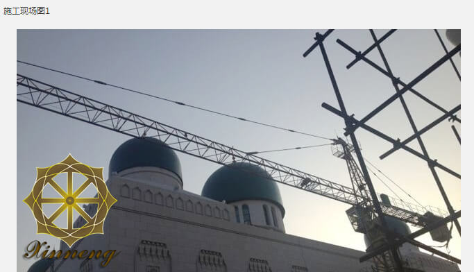 出口美国10米半球型顶